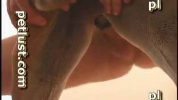 Guy stretches his bitch's cunt with his throbbing erection