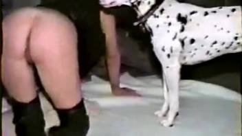 Vintage amateur clip featuring canine-adoring mothers