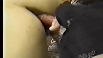 Vintage clip featuring two Latin women and their well-endowed canine dog