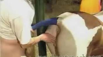 Guy can't hold back from that captivating horse cunt