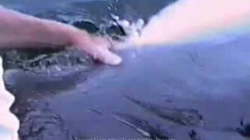 Thrusting my stiff digits into the dolphin's snug rear entrance up close