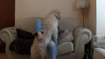 Long-legged masked slut was roughly fucked by her own retriever dog