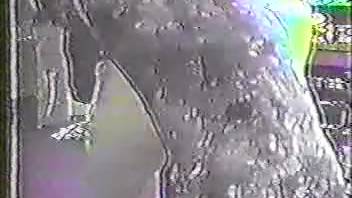 Extremely uncommon and fantastic canine intercourse scene featuring a skilled Dalmatian