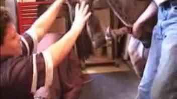Woman in leather trousers penetrated by impressive horse-like cock