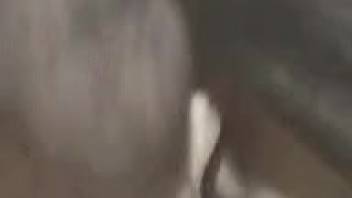 Hot film featuring a bushy cunt pounded by a canine