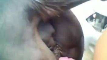Mare pussy getting fucked from behind with a creampie