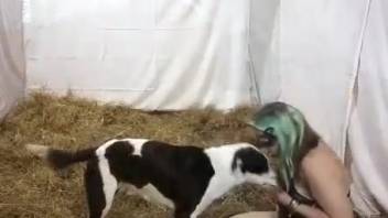 Desperate lady arches her plump rear for genuine bestial intercourse