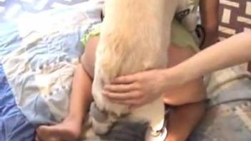 Well-trained white dog penetrates the narrow crevice of a voluptuous woman with ample buttocks