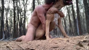 Switching roles in animal sex romp with an aroused dominant stud