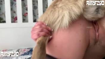 Golden-haired woman with a steamy vagina gets hammered doggy style