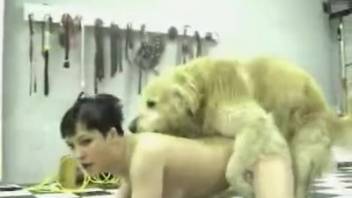 Adorable Labrador pounds a blonde vixen in the doggy position