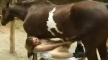 Collared babe getting gaped by a horse's big boner