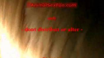 MILF in stockings gets pounded roughly by a well-endowed pony