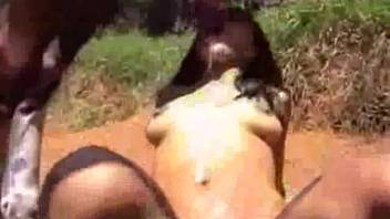 Stallion ejaculates on her tits