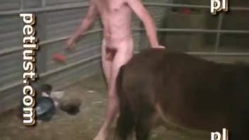 Sensate girl is having sex with a horse