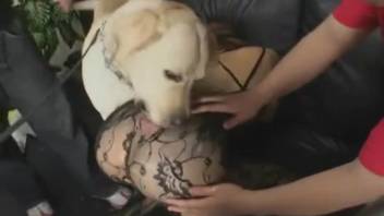Animal sex videos featuring a submissive Japanese girl 18+. Complimentary zoophilia and beast porn