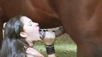 Tasty horse semen inside her