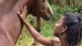 Stallion ejaculates inside female after extended teasing