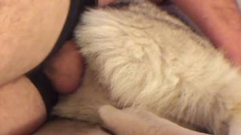 Man screws his dog and ejaculates heavily as well